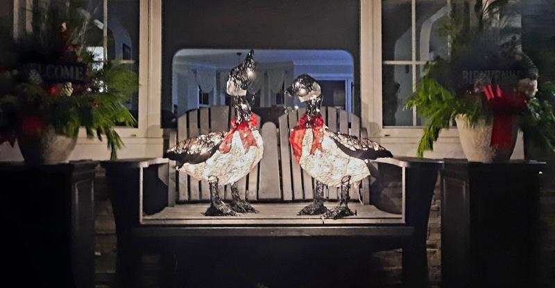 Photo - commentaire 2.