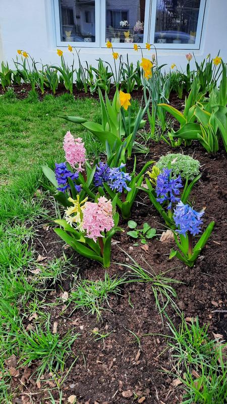 Photo - commentaire&nbsp;5.