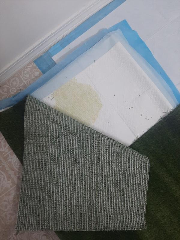 Photo - commentaire 2.