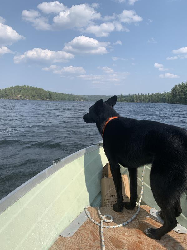 Photo - commentaire 2.