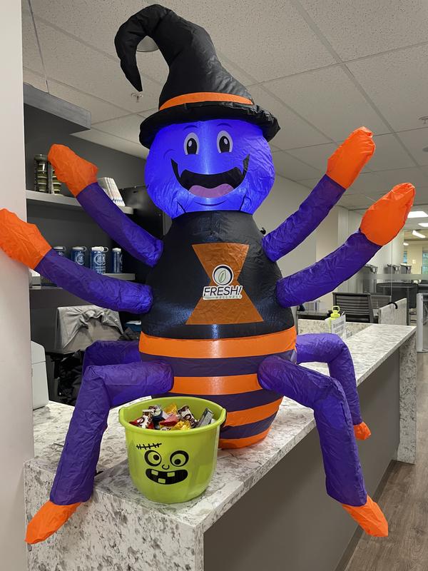 Photo - commentaire 1