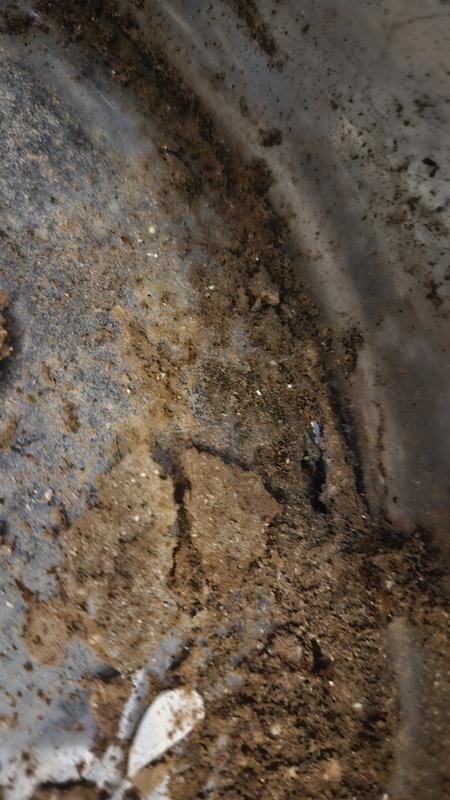 rust holes after less than a year