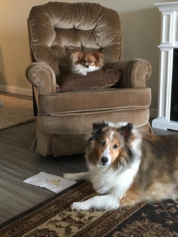 Photo - commentaire&nbsp;1.