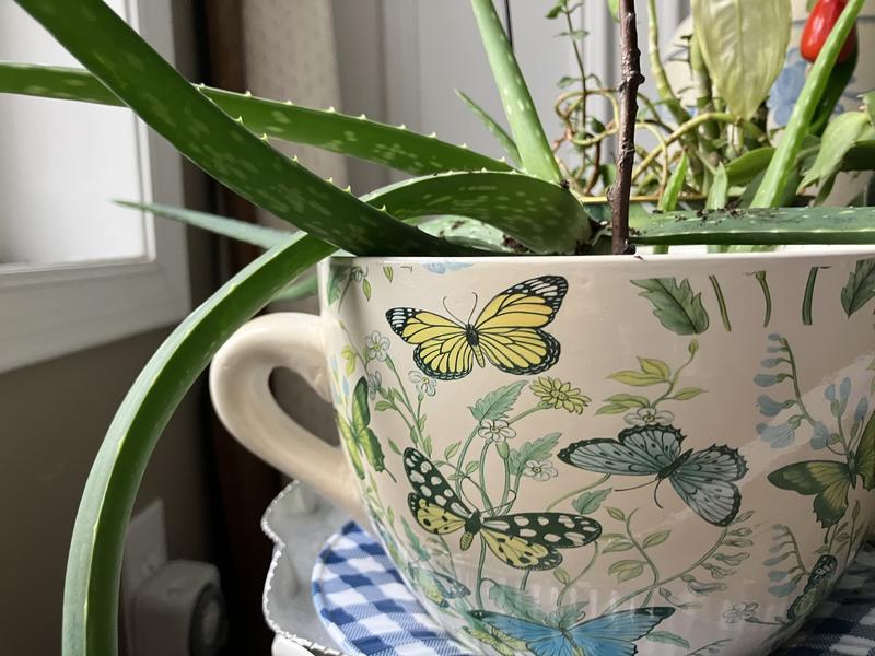 Loving this product.