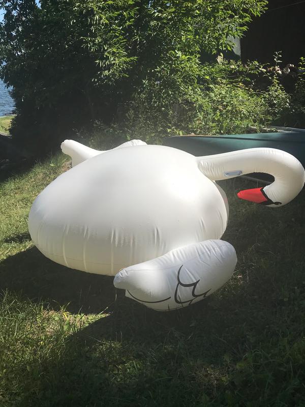 Photo - commentaire&nbsp;2.