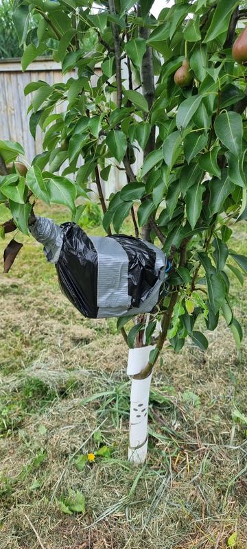 Perfect for stripping the bark off branches!