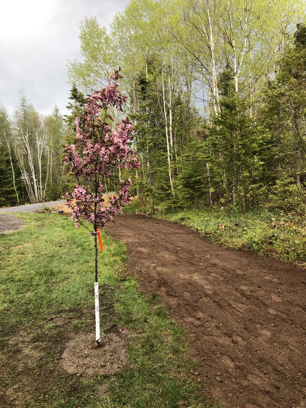 4’ depth ... good for light grading