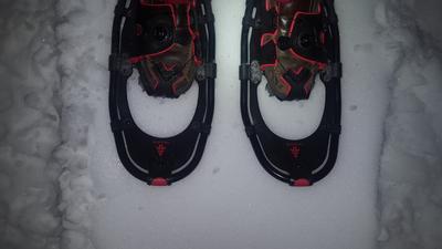 Shoes on Packed Trail