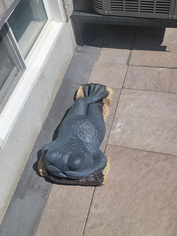 Photo - commentaire&nbsp;3.