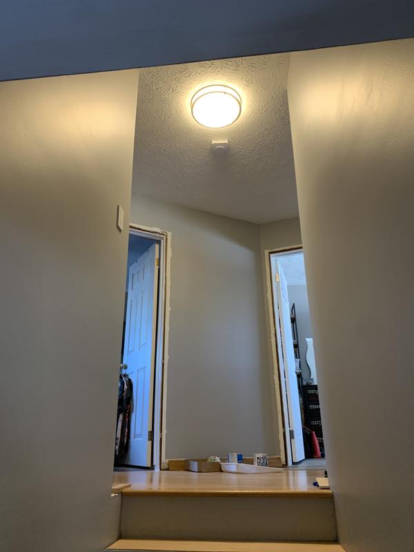 Photo - commentaire 1.