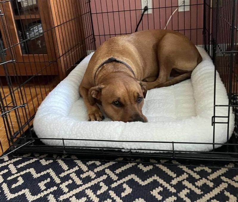 Photo - commentaire 4.