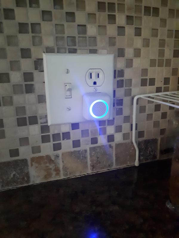 Photo - commentaire 3.