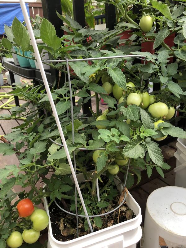 Photo - commentaire&nbsp;3.