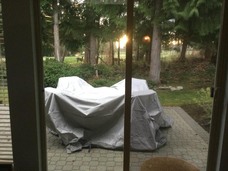 Photo - commentaire 4.