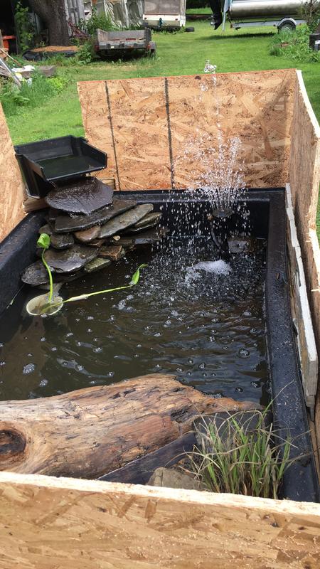 Photo - commentaire 3.