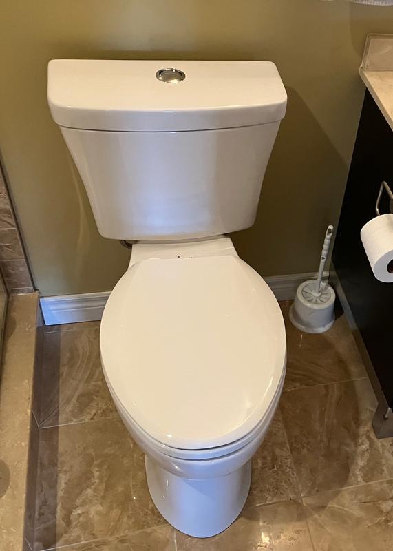 easy install myself, looks good and flushes great