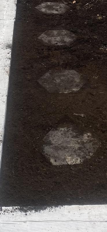 Photo - commentaire 3.