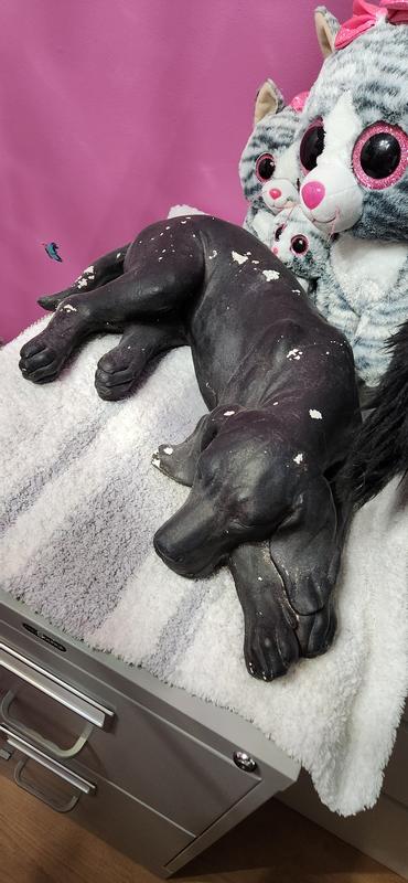 Photo - commentaire 1.