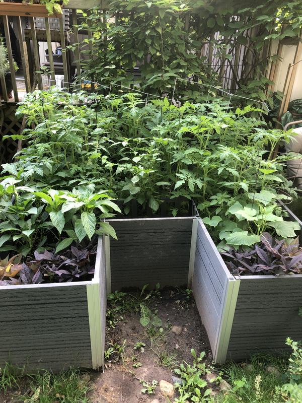 These photos were taken less than a month apart