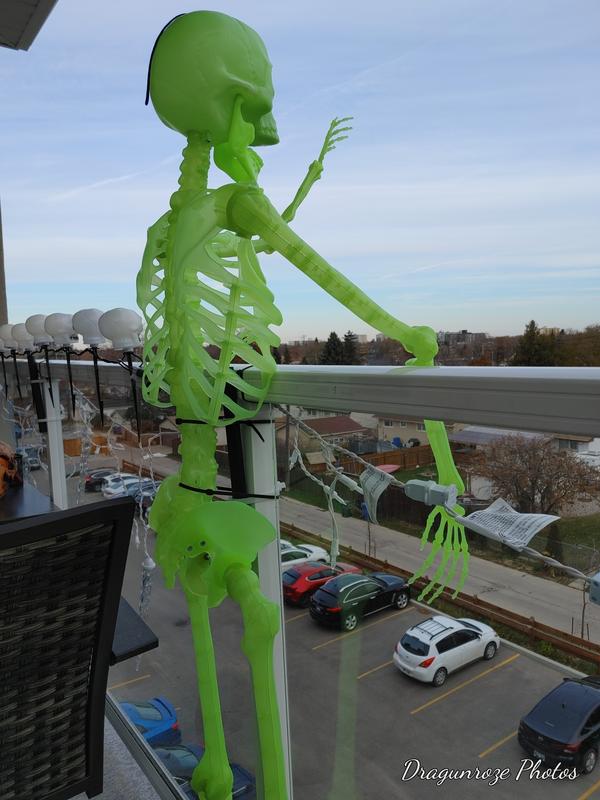 Photo - commentaire 2