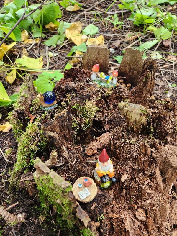 Photo - commentaire 2.