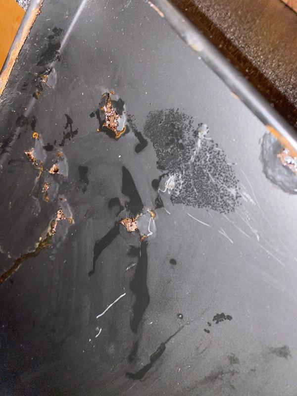 Photo de notre poubelle