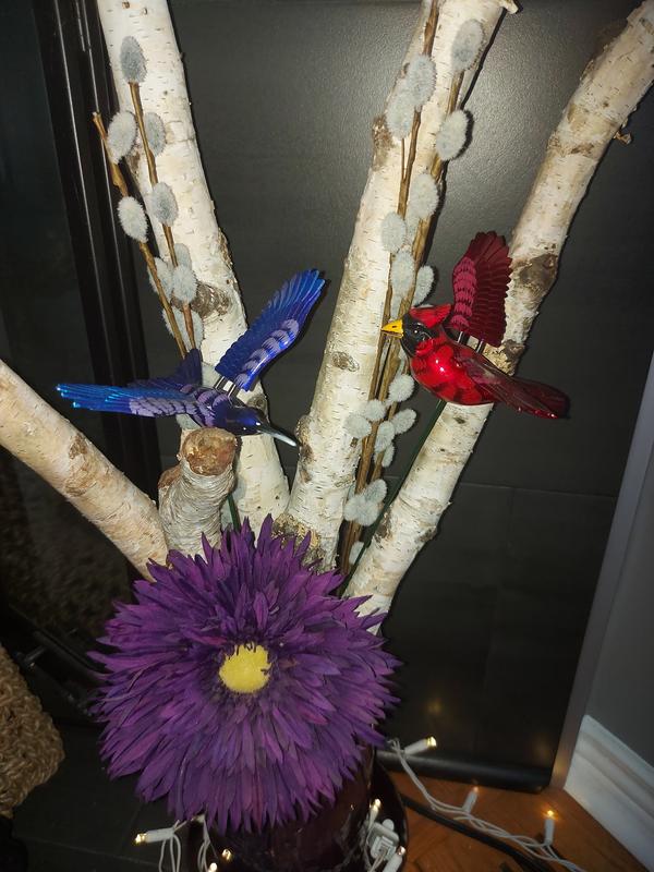 Hummingbird & Cardinal Mini Windy Wings