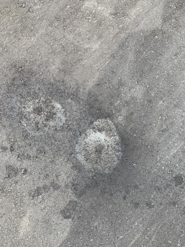 Photo - commentaire&nbsp;2.