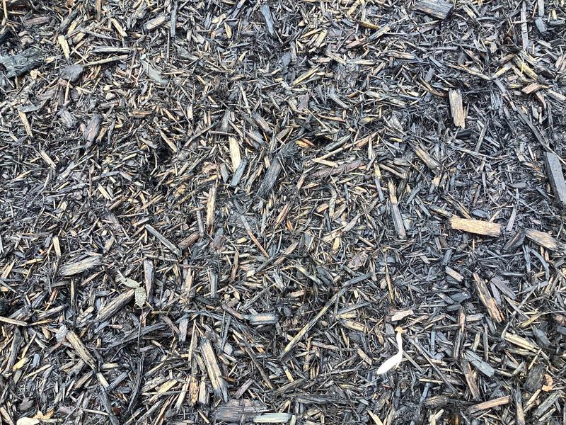 Canadian Tire brand “black” after one week.