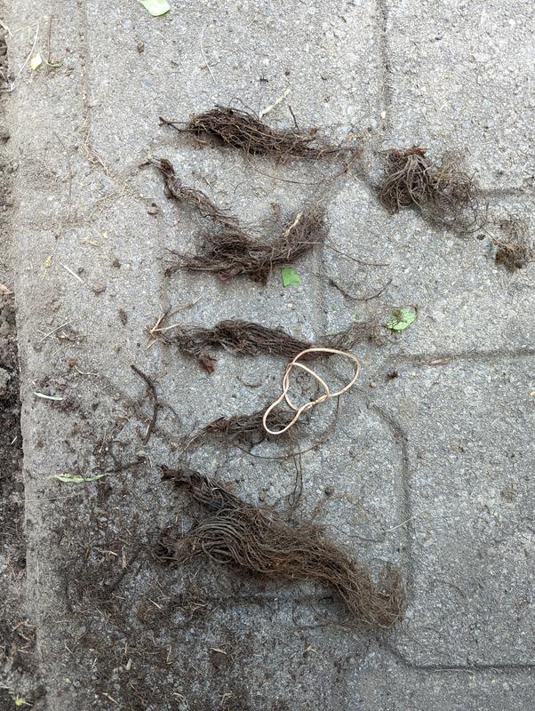 Photo - commentaire&nbsp;2.