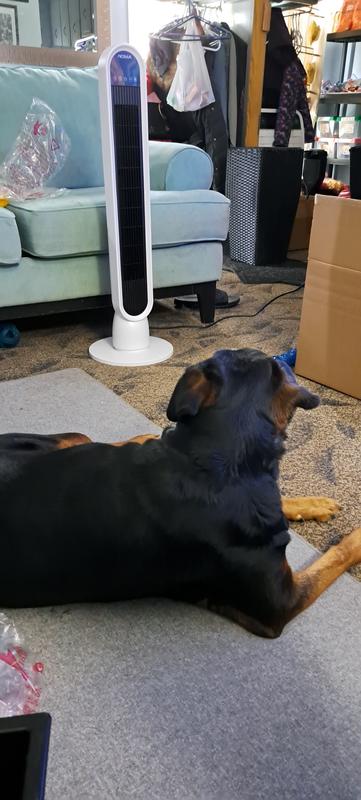 Photo - commentaire 1.