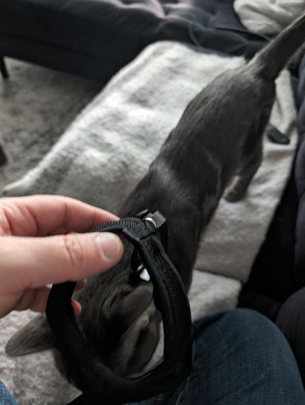 Photo - commentaire&nbsp;1.