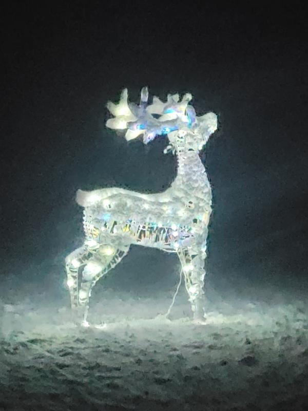 Deer at night, during snowfall.