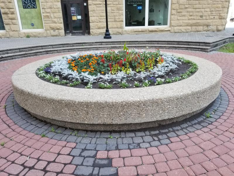 Works perfectly in open yard