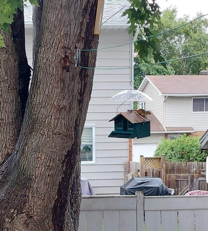 Photo - commentaire 6.