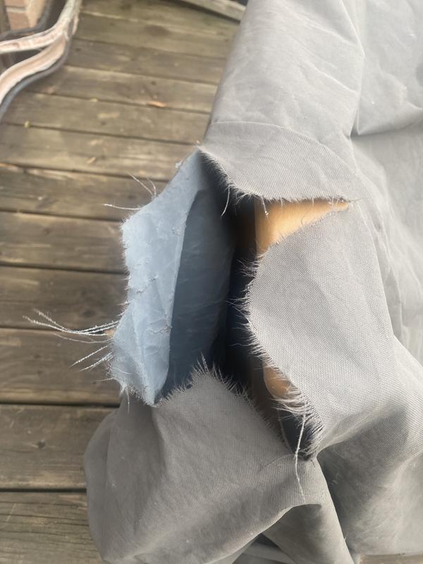 One of the numerous tears