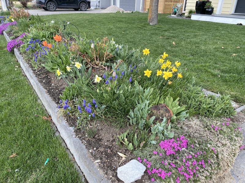 Photo - commentaire 6.