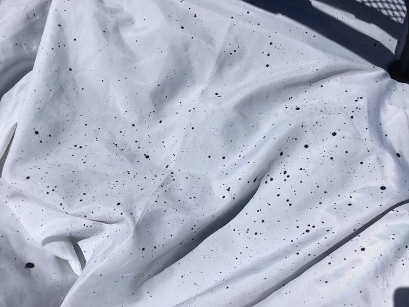 Photo - commentaire 4.