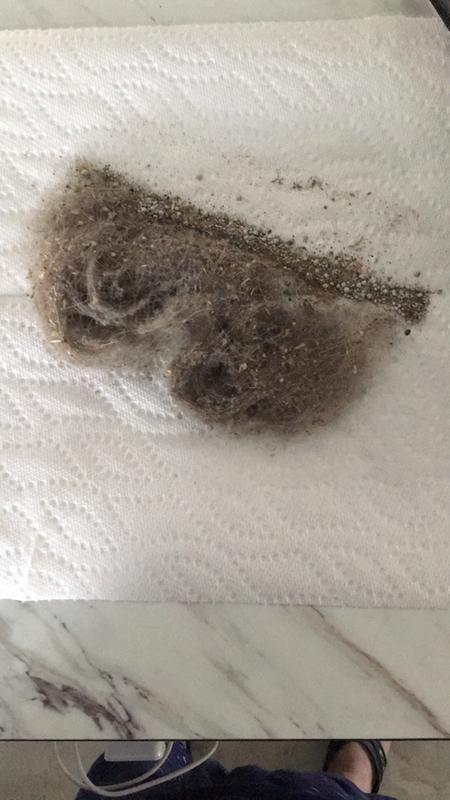 Ce qu’elle a ramassée en une seule fois