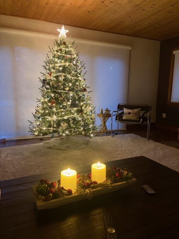 Noelle Fraser Upswept Christmas tree lights up the night.