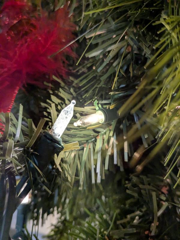 Photo - commentaire 4.