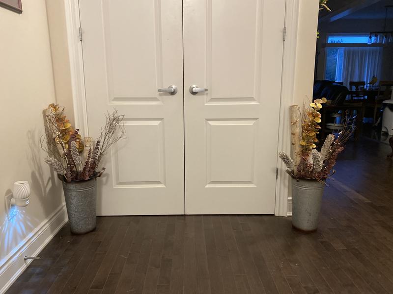 Photo - commentaire 3.