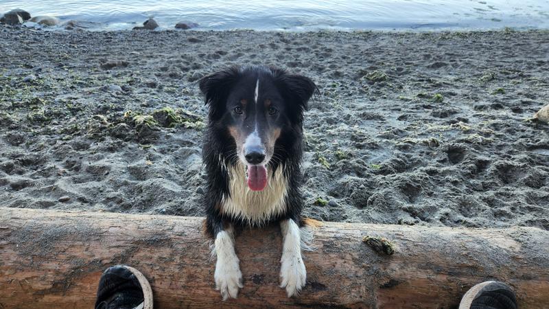 Photo - commentaire&nbsp;1.