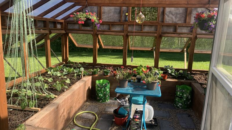 Photo - commentaire 4.