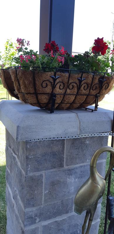 Photo - commentaire 1.