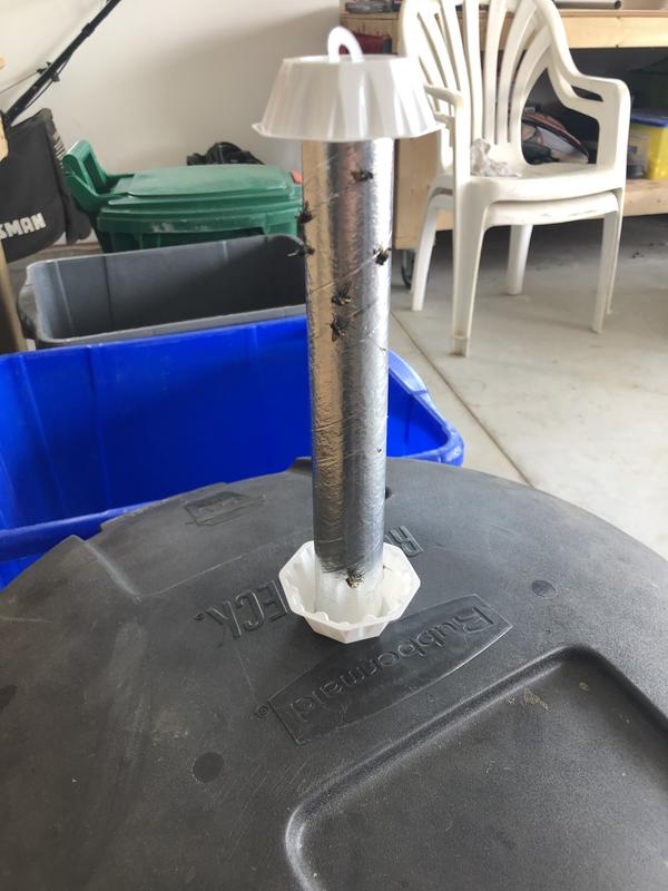 Photo - commentaire 5.