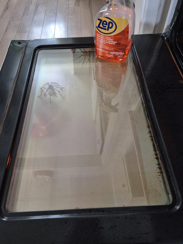 My very cleaned oven glass door that was so easy that now I am going to do the inside the oven next. Amazing product!