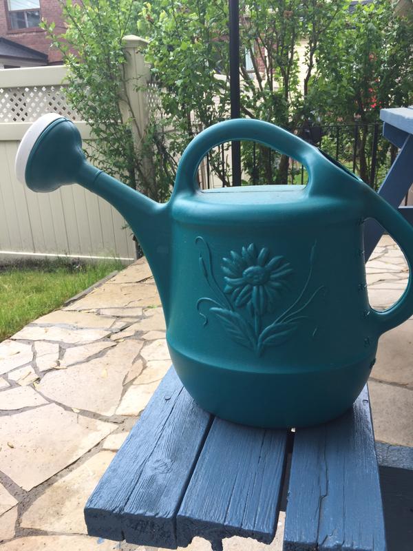 Blue Watering Can