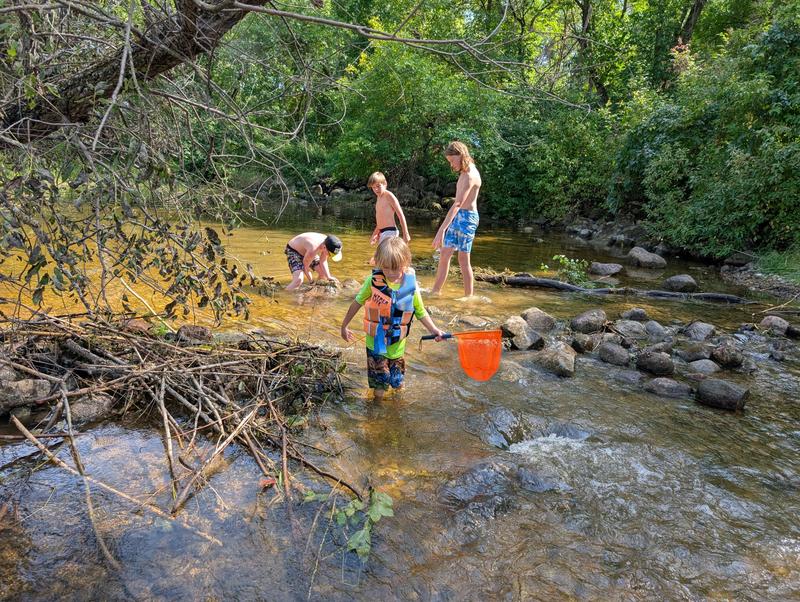 Photo - commentaire 1.