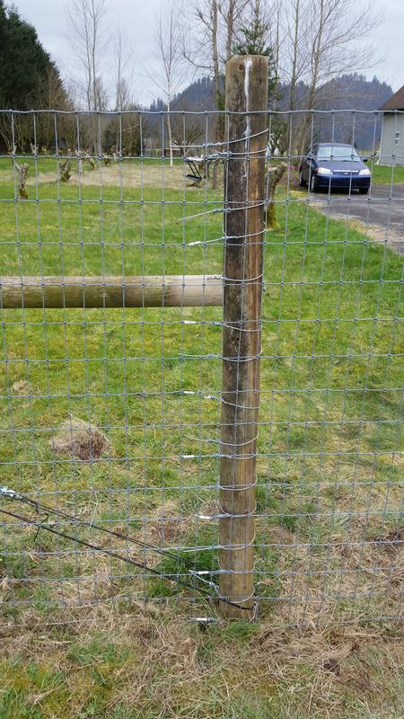 Photo - commentaire 1.